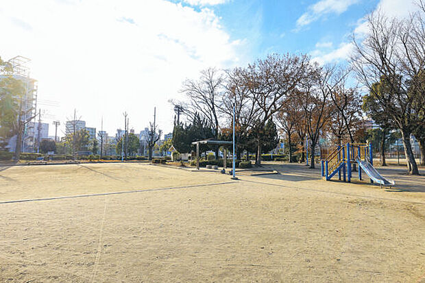 松島公園(約602m)