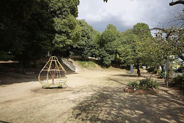 春日山公園（約911m）