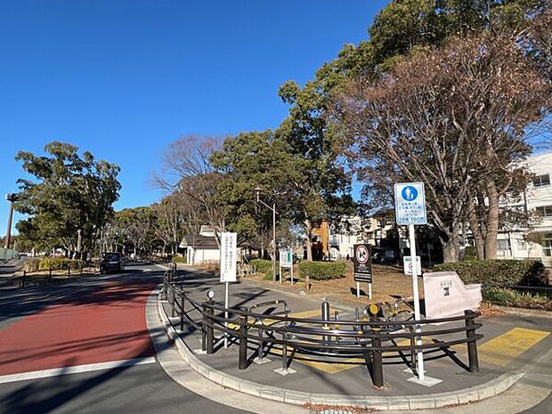 篠崎公園（約441m）