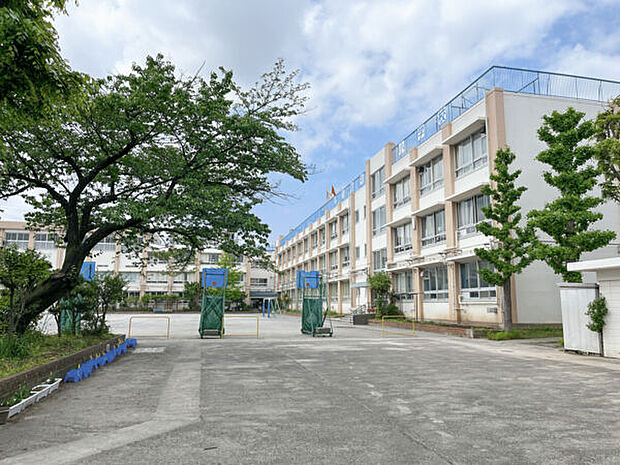 葛飾区立西亀有小学校（約733m）