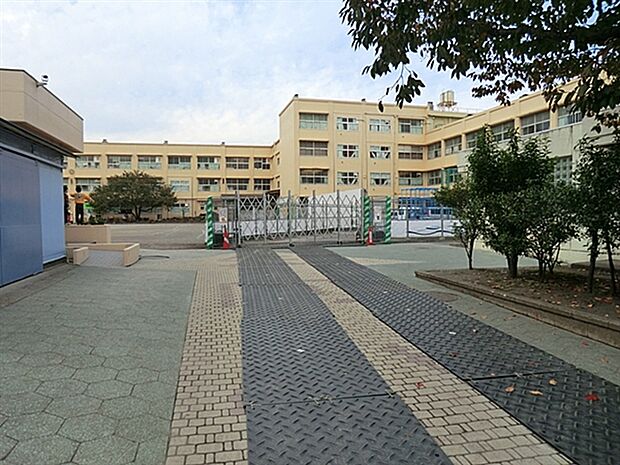 横浜市立矢向小学校（約568m）