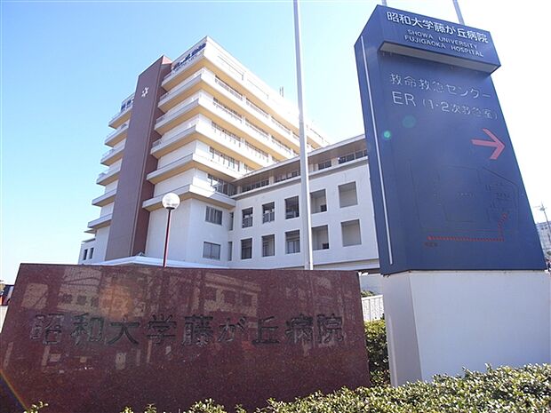 昭和大学藤が丘病院(約1,372m)