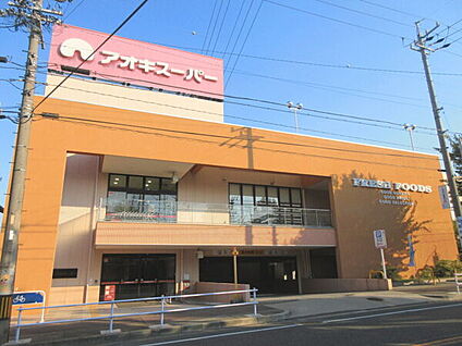 アオキスーパー名東よもぎ台店 1213m