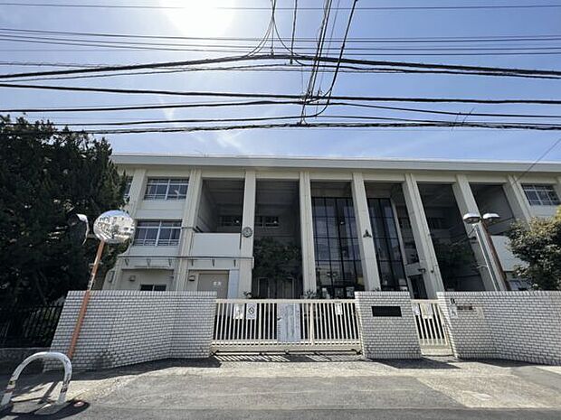 川崎市立新城小学校(約677m)