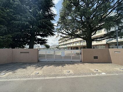 狛江市立緑野小学校 1153m