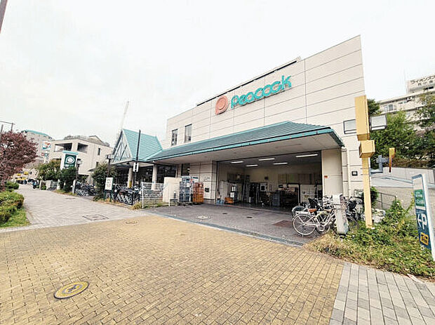 ピーコックストア 花小金井店(約579m)