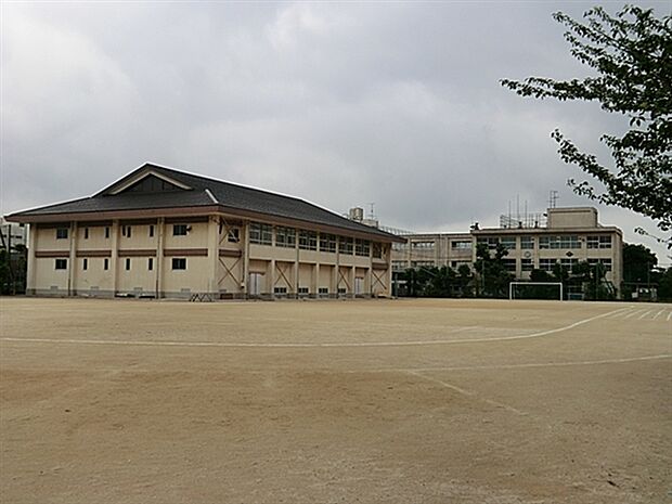 市川市立第一中学校(約1,154m)