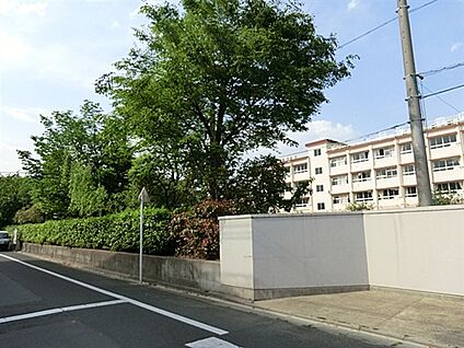 葛飾区立堀切中学校 219m