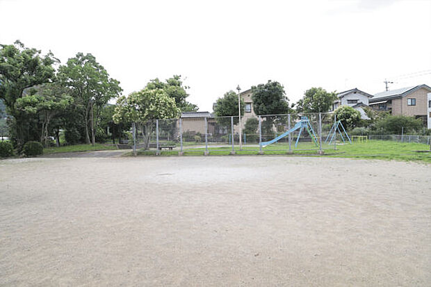 今宿青木公園(約697m)