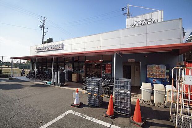 ヤマダイ アオヤマ店(約895m)