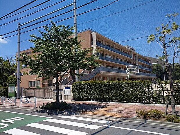 江戸川区立第三松江小学校(約1,119m)