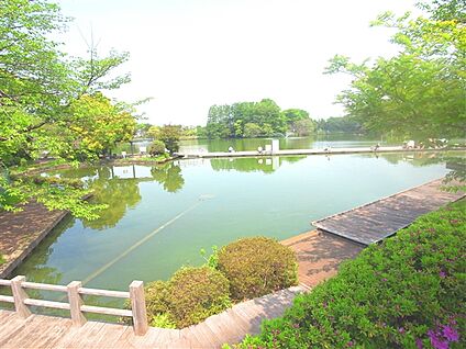 等々力緑地 159m