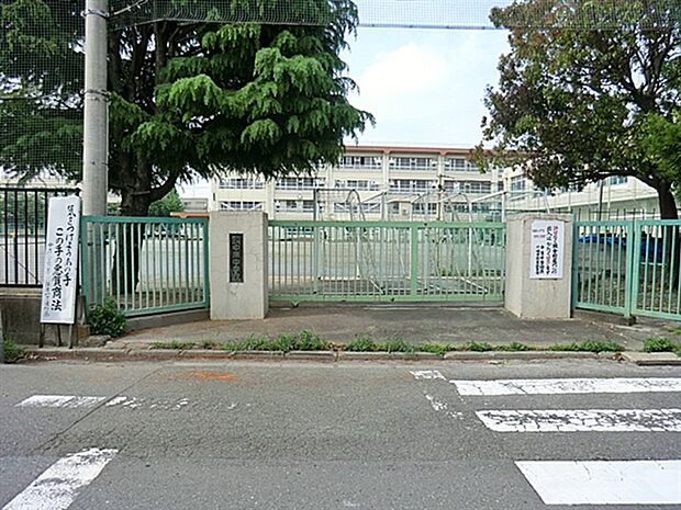 川崎市立中原中学校（約343m）