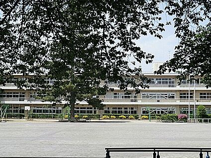 さいたま市立大砂土東小学校 604m