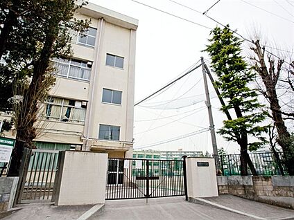 板橋区立上板橋第三中学校 541m