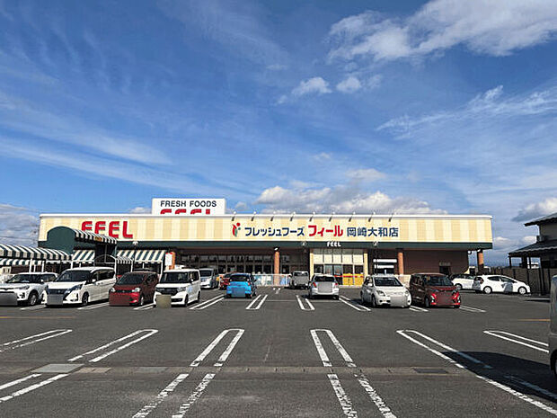 フィール岡崎大和店(約1,767m)