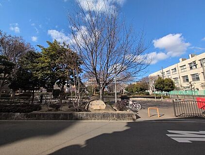 大宮ふれあい公園 862m