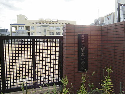 神戸市立宮本小学校 264m