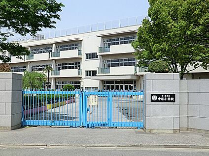 川口市立中居小学校 753m