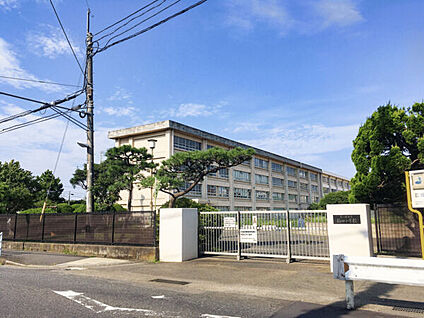 茅ヶ崎市立梅田小学校 1547m