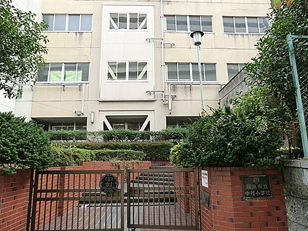 横浜市立中村小学校（約540m）