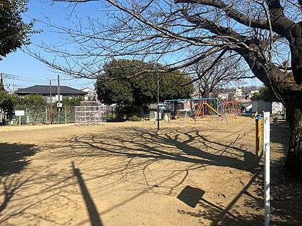 椎の実公園 249m