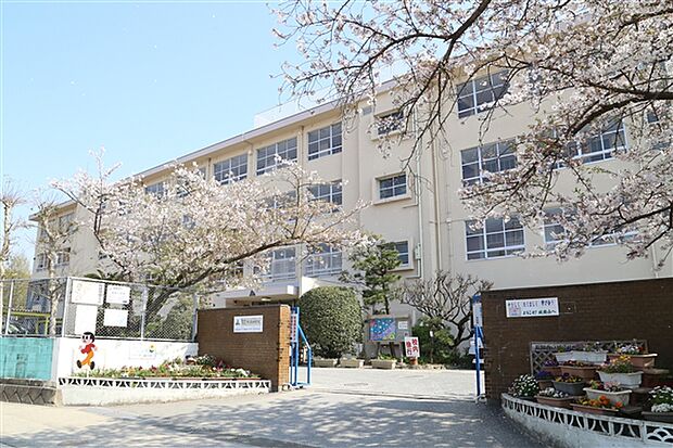 福岡市立城南小学校（約978m）