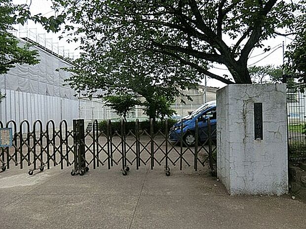 藤沢市立本町小学校（約665m）