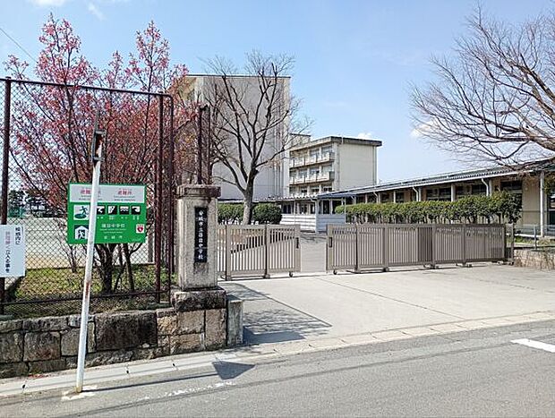 安城市立篠目中学校（約1,184m）