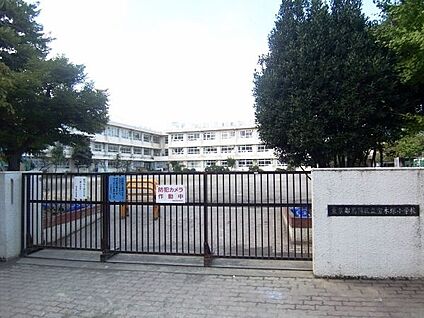 葛飾区立宝木塚小学校 240m