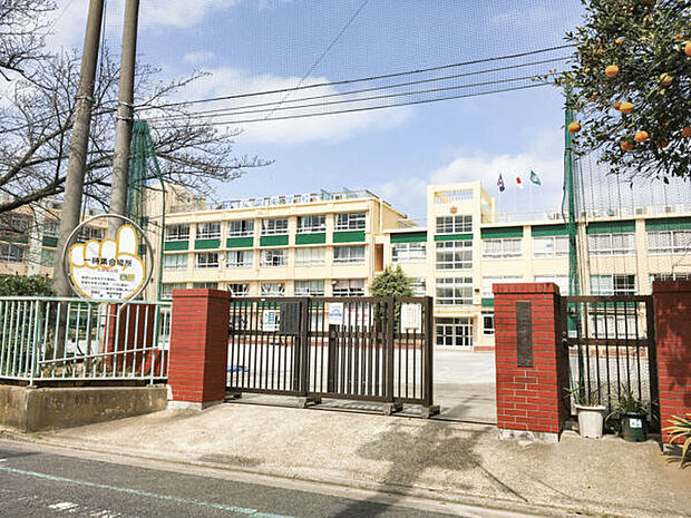 葛飾区立双葉中学校(約596m)