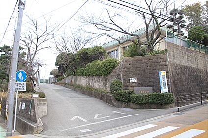 福岡市立笹丘小学校 502m