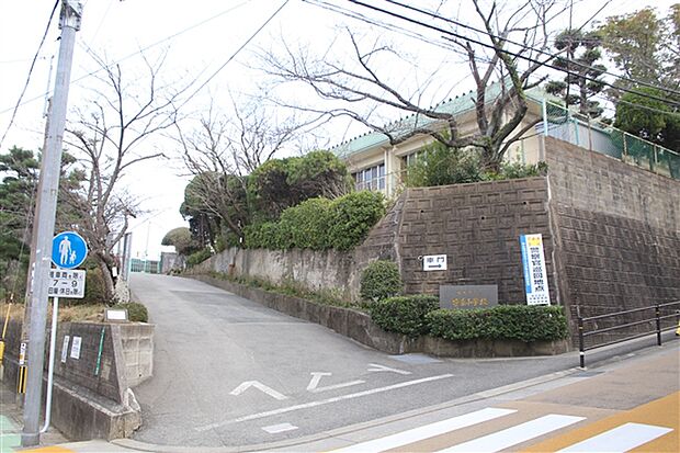 福岡市立笹丘小学校(約502m)