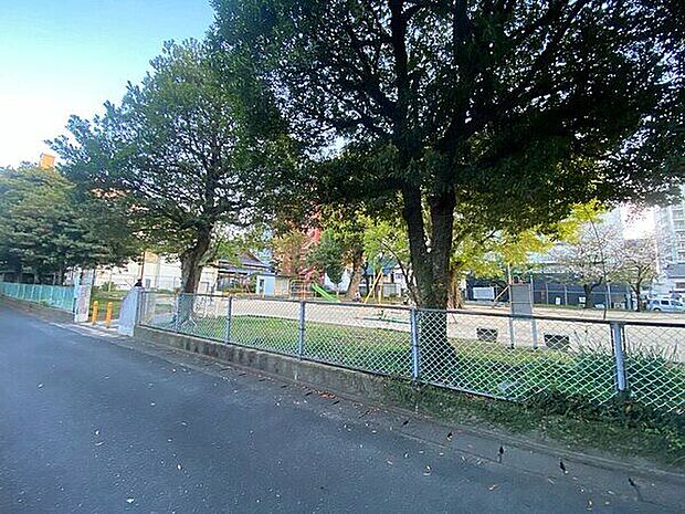 蛍川公園（約600m）