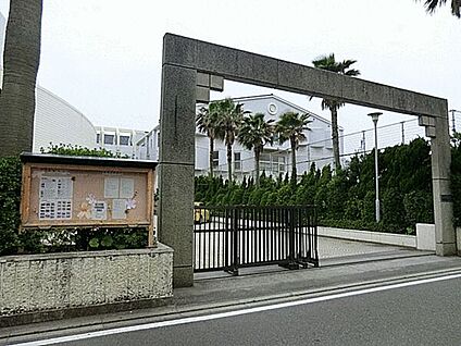 藤沢市立湘洋中学校 1238m