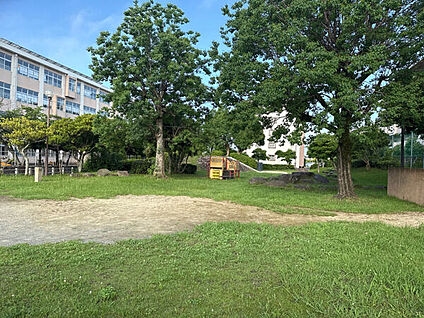 奈多西公園 952m