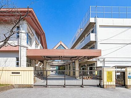 市川市立稲荷木小学校 554m