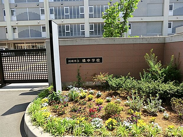 川崎市立橘中学校(約528m)