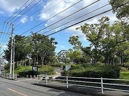 早苗田公園 812m