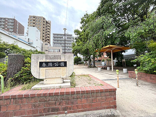 春岡公園（約302m）