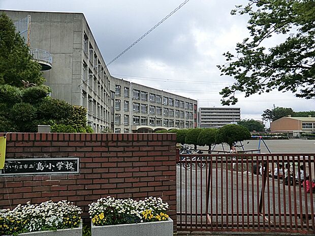 さいたま市立島小学校（約457m）