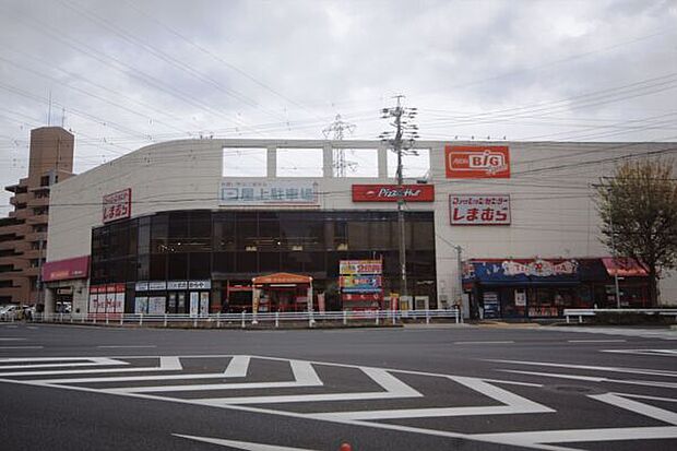 ザ・ビッグエクスプレス マックスバリュ 平針店(約1,289m)