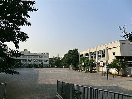 板橋区立志村第二中学校 571m
