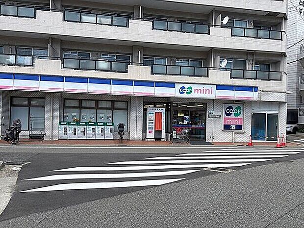コープミニ石井（約334m）
