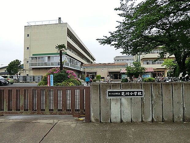 さいたま市立芝川小学校(約759m)