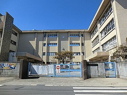 ハート調剤薬局北松戸店 915m