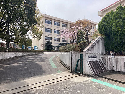 岡崎市立小豆坂小学校 1255m
