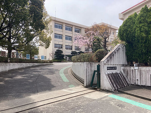 岡崎市立小豆坂小学校（約1,255m）