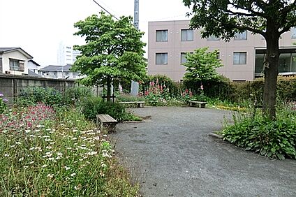 南町六丁目第１公園 1277m