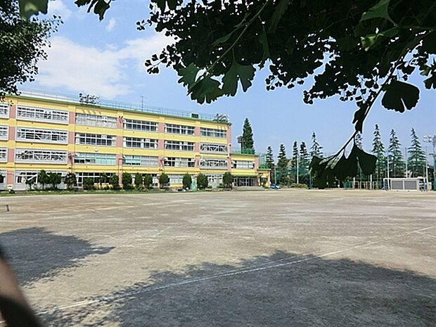 杉並区立向陽中学校(約362m)